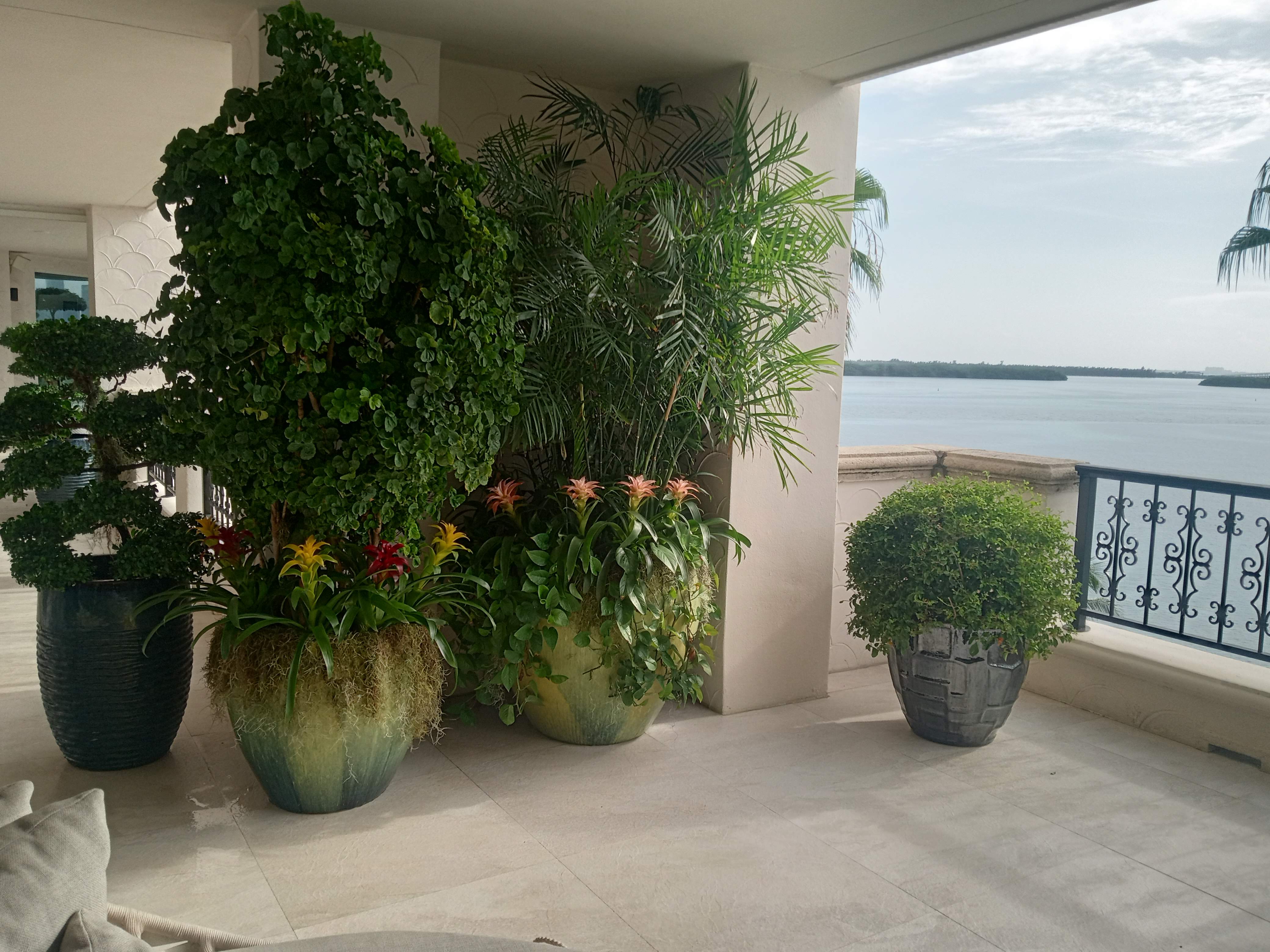 Exterior Planting